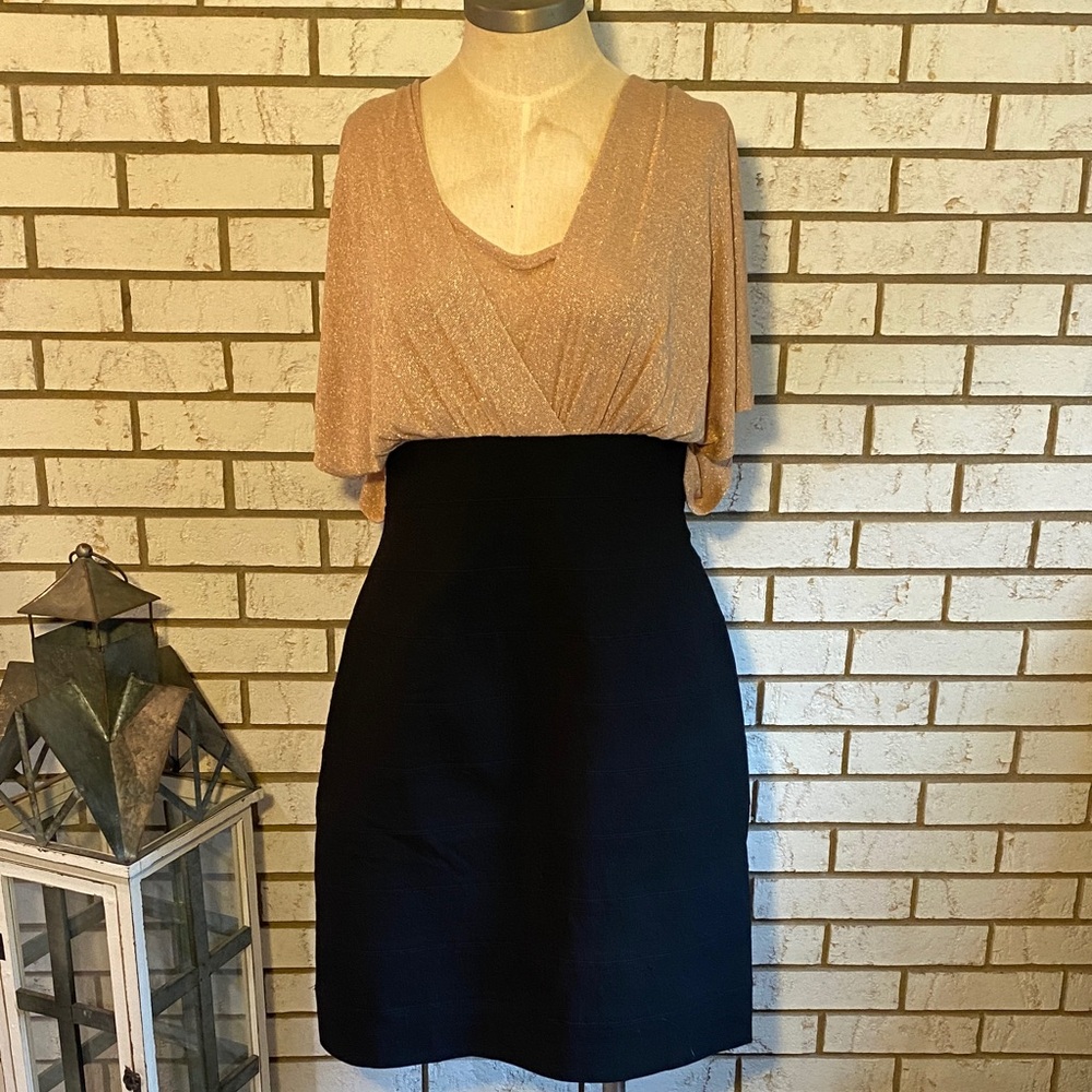 Nicole / Black and Gold Pencil Dress